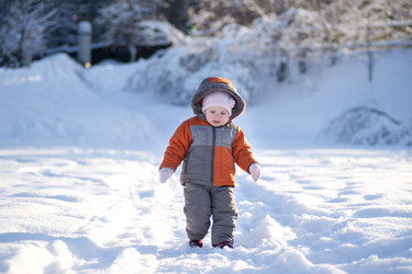 Similar image 512563