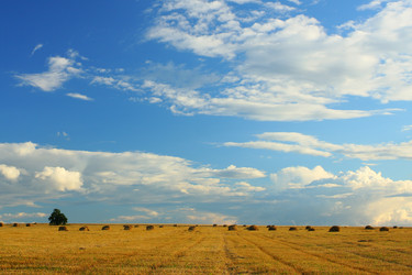 Similar image 512724