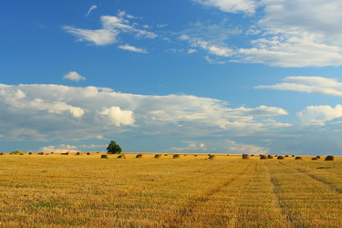 Similar image 512726