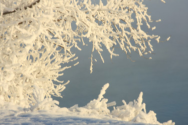 Similar image 512756