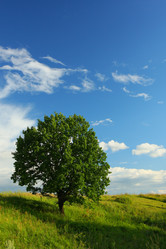 Similar image 512767