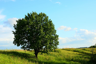 Similar image 512768