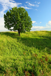 Similar image 512769