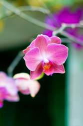 Similar image 512800