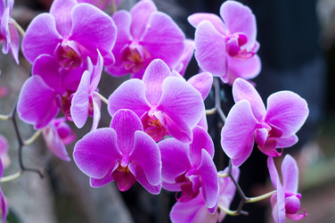 Similar image 512802