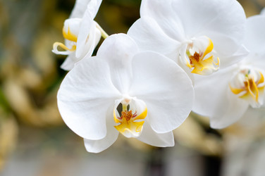 Similar image 512803