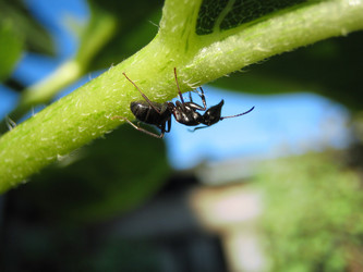 Similar image 512813