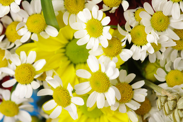 Similar image 512982