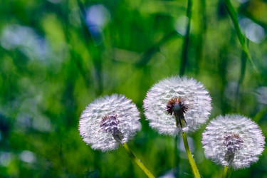 Similar image 512984