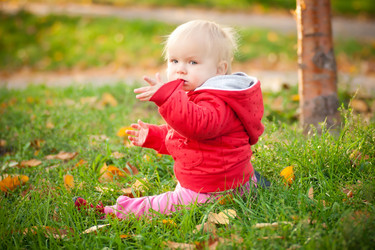 Similar image 513034