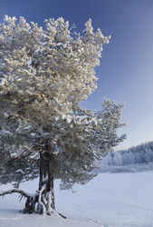 Similar image 513200