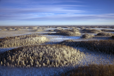 Similar image 513238