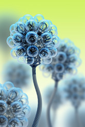 Similar image 513265