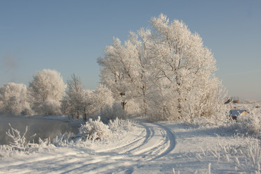 Similar image 513296