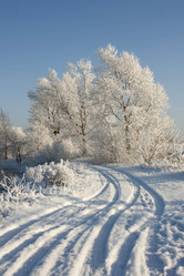 Similar image 513298