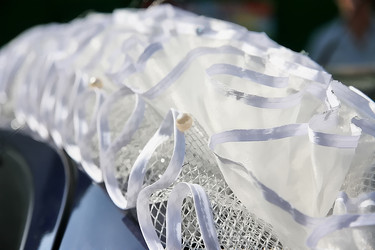 Similar image 513329