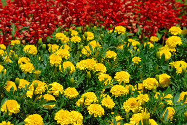 Similar image 513337