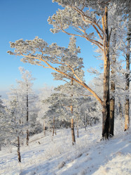 Similar image 513513