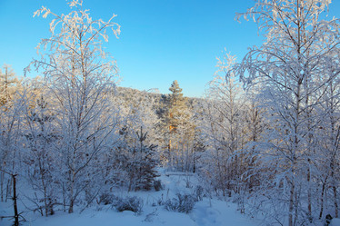 Similar image 513514