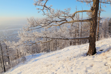 Similar image 513516