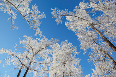 Similar image 513526