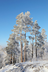 Similar image 513539