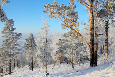 Similar image 513541