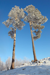 Similar image 513542