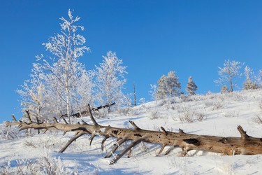 Similar image 513543