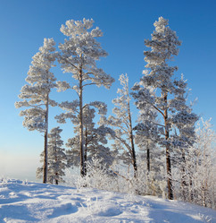 Similar image 513545