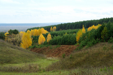 Similar image 513578