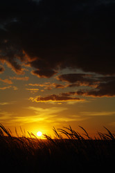 Similar image 513610