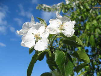 Similar image 513613