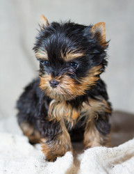 Similar image 513614