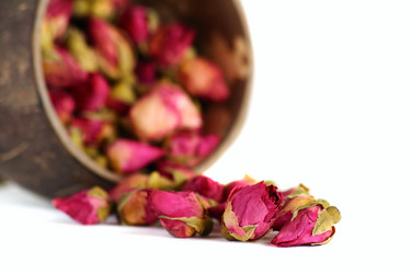 Similar image 513637