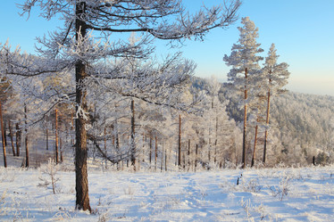 Similar image 513654