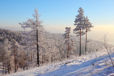 Similar image 513655