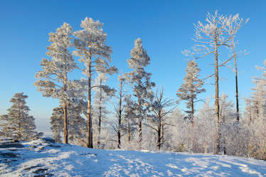 Similar image 513656