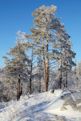 Similar image 513657