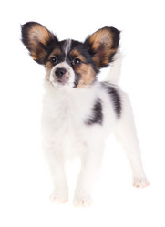 Similar image 513667