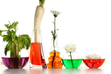 Similar image 513680