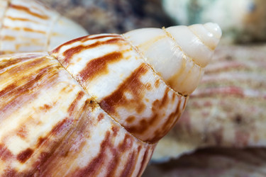 Similar image 513688