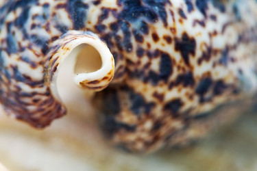 Similar image 513689