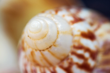 Similar image 513691