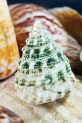 Similar image 513695