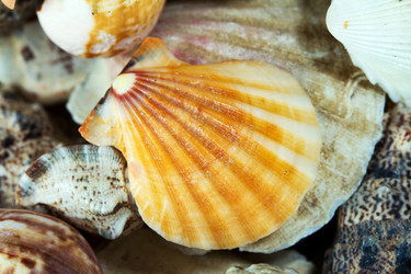 Similar image 513698