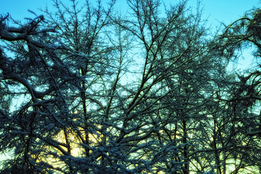 Similar image 513712