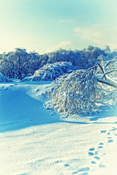 Similar image 513718