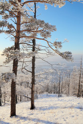 Similar image 513728