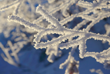 Similar image 513732